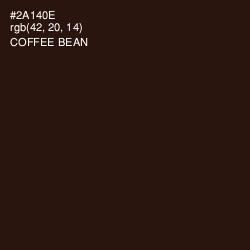 #2A140E - Coffee Bean Color Image